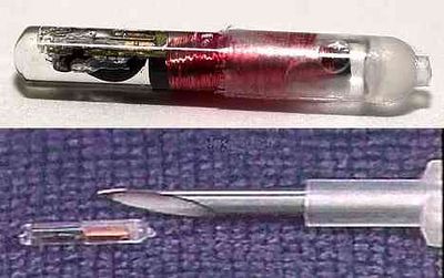 Puce Verichip pour implantation sous-cutanée.